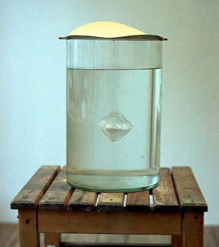 Kalialaunkristall